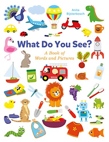 What Do You See A Book Full of Words and Pictures [Board book]