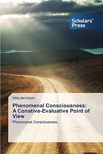 Phenomenal Consciousness  A Conative-Evaluative Point Of View Phenomenal Consc [Paperback]