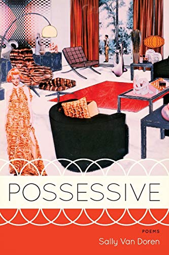 Possessive Poems [Paperback]