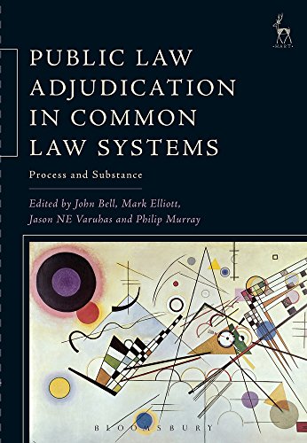 Public Law Adjudication in Common Law Systems Process and Substance [Paperback]