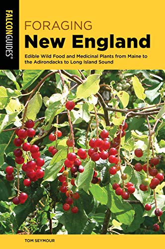 Foraging New England Edible Wild Food and Medicinal Plants from Maine to the Ad [Paperback]