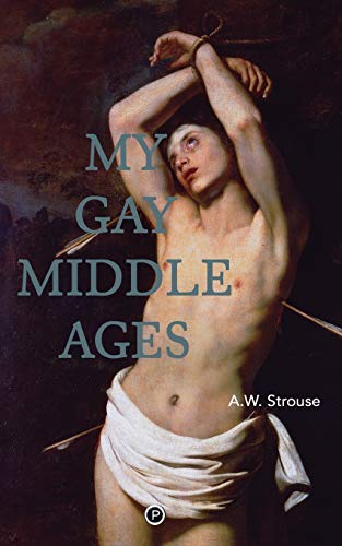 My Gay Middle Ages [Paperback]