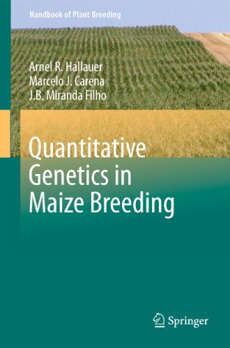 Quantitative Genetics in Maize Breeding [Paperback]