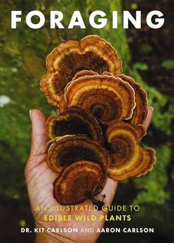 Foraging An Illustrated Guide to Edible Wild Plants [Paperback]