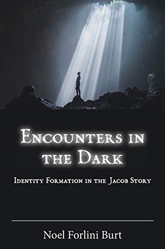 Encounters in the Dark  Identity Formation in the Jacob Story [Paperback]
