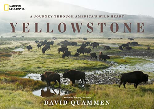 Yellowstone A Journey Through America's Wild Heart [Hardcover]