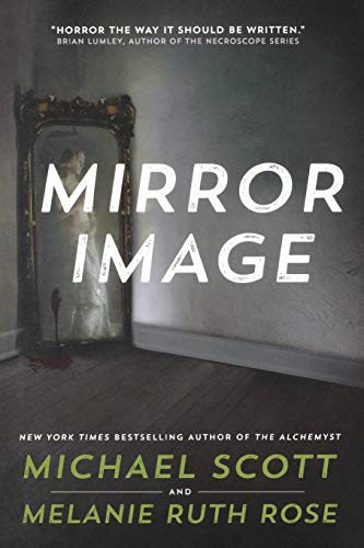 Mirror Image A Novel [Paperback]