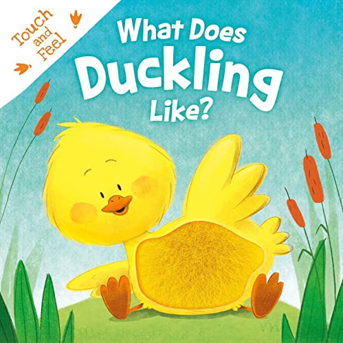 What Does Duckling Like Touch & Feel Board Book [Board book]