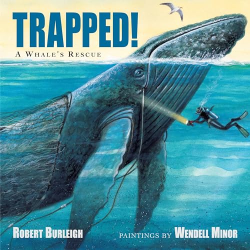Trapped A Whale's Rescue [Hardcover]
