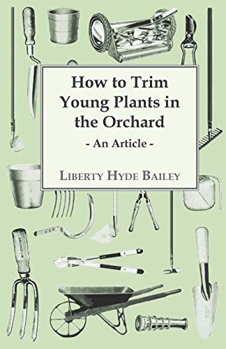 How to Trim Young Plants in the Orchard - an Article [Paperback]