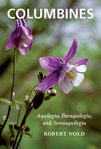 Columbines Aquilegia, Paraquilegia, And Semiaquilegia [Paperback]