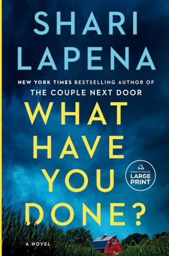 What Have You Done A Novel [Paperback]