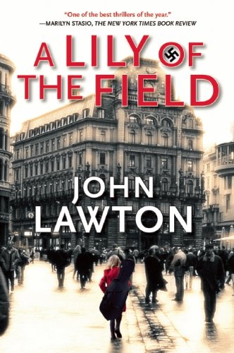 A Lily of the Field A Novel [Paperback]