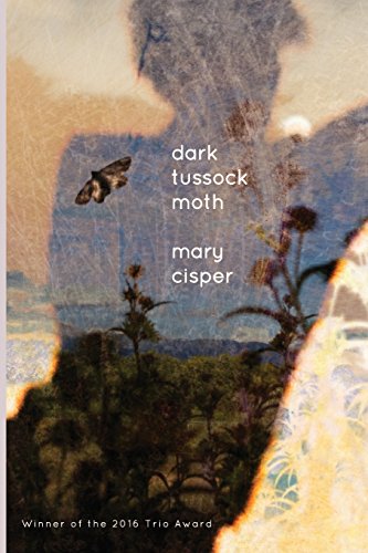 Dark Tussock Moth [Paperback]