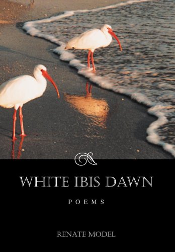 White Ibis Dawn [Hardcover]