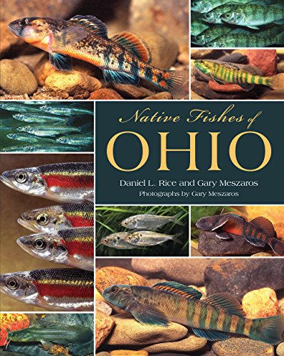 Native Fishes Of Ohio [Paperback]