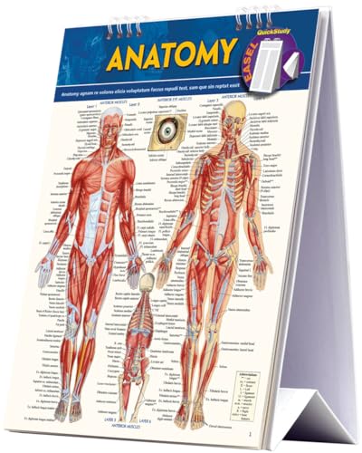Anatomy Easel Book a QuickStudy reference tool [Spiral bound]