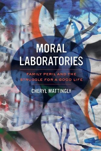Moral Laboratories Family Peril and the Struggle for a Good Life [Paperback]