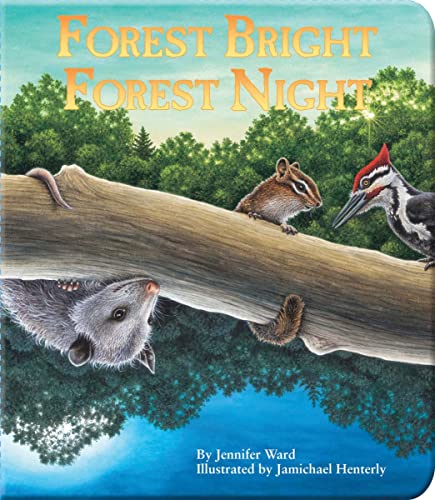 Forest Bright, Forest Night [Board book]