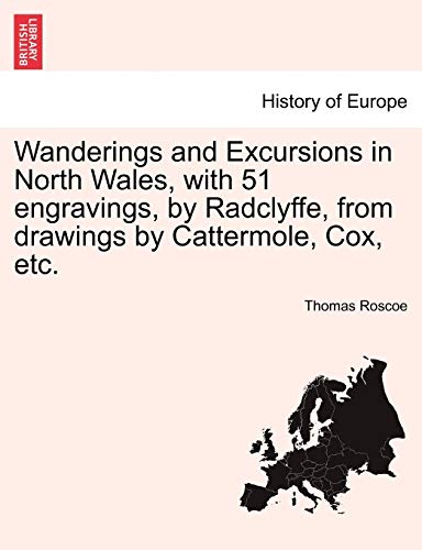 Wanderings And Excursions In North Wales, With 51 Engravings, By Radclyffe, From [Paperback]