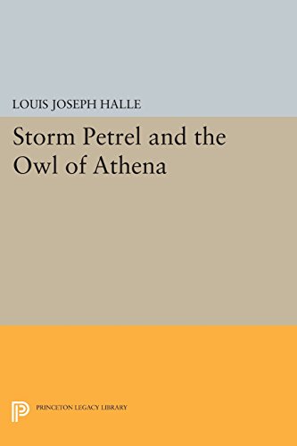 Storm Petrel and the Owl of Athena [Paperback]