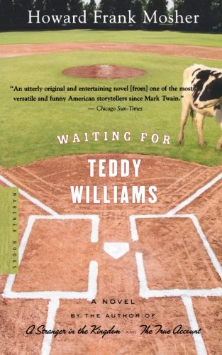 Waiting for Teddy Williams [Paperback]