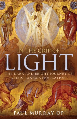 In the Grip of Light The Dark and Bright Journey of Christian Contemplation [Paperback]