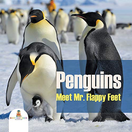 Penguins - Meet Mr. Flappy Feet [Paperback]