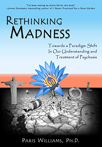Rethinking Madness Towards A Paradigm Shift In Our Understanding And Treatment  [Paperback]