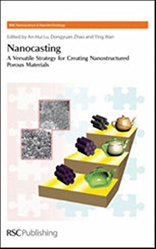 Nanocasting A Versatile Strategy for Creating Nanostructured Porous Materials [Hardcover]