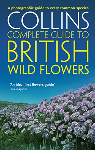 British Wild Flowers [Paperback]