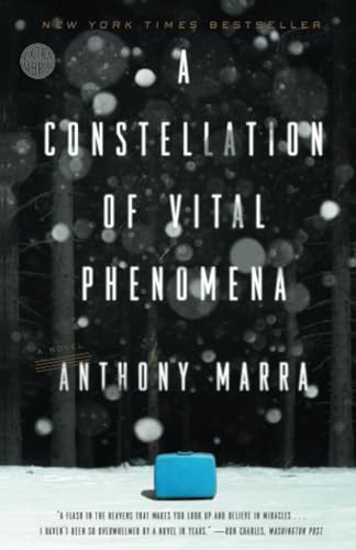 A Constellation of Vital Phenomena A Novel [Paperback]