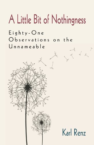 A Little Bit Of Nothingness [Paperback]