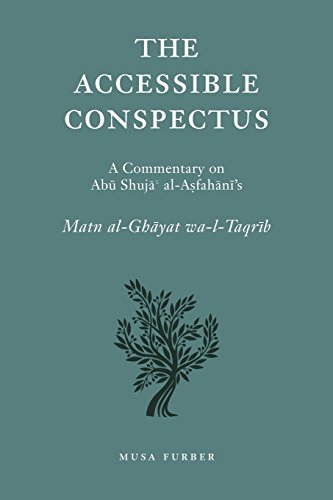The Accessible Conspectus [Paperback]