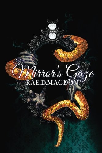 The Mirror's Gaze (amendyr) (volume 4) [Paperback]