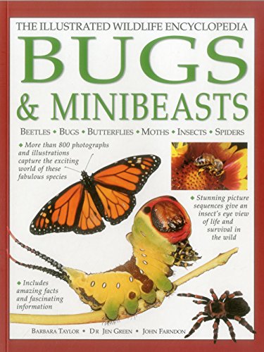 The Illustrated Wildlife Encyclopedia Bugs &amp Minibeasts Beetles, Bugs, But [Paperback]