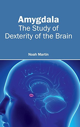 Amygdala The Study Of Dexterity Of The Brain [Hardcover]