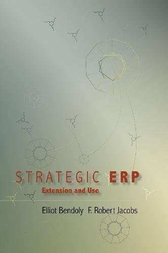 Strategic ERP Extension and Use [Hardcover]