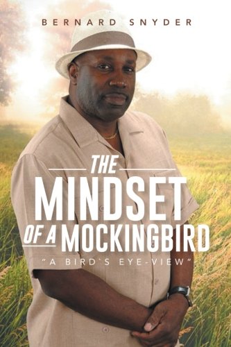 Mindset of a Mockingbird  A Bird`S Eye-View [Paperback]