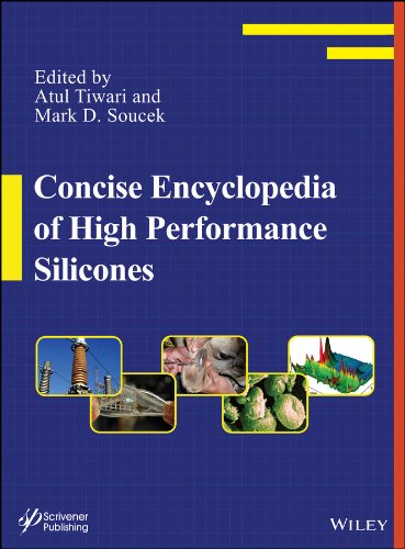 Concise Encyclopedia of High Performance Silicones [Hardcover]