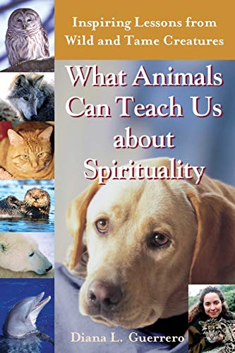 What Animals Can Teach Us About Spirituality Inspiring Lessons from Wild and Ta [Paperback]