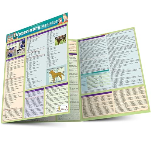 C++ Programming Language a QuickStudy Laminated Reference [Fold-out book or cha]