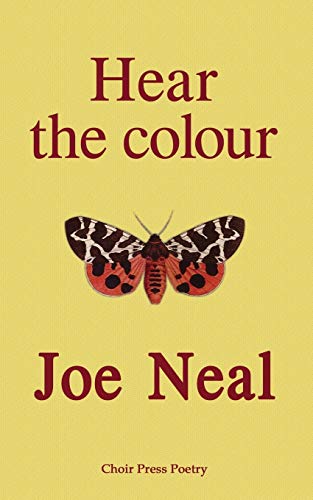 Hear The Colour (choir Press Poetry) [Paperback]