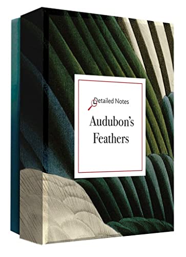 Audubon's Feathers A Detailed Notes notecard box [Cards]
