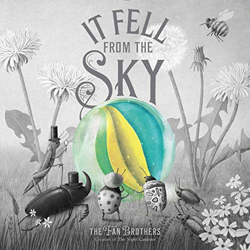 It Fell from the Sky [Hardcover]