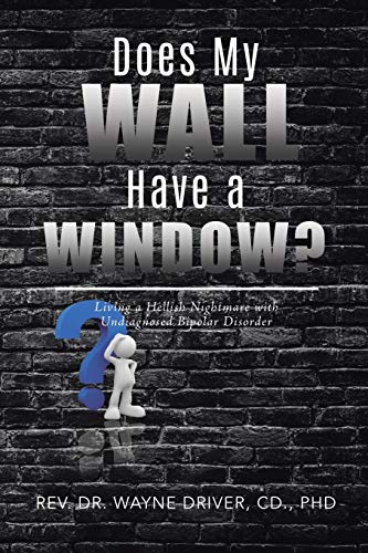 Does My Wall Have a Window  Living a Hellish Nightmare with Undiagnosed Bipola [Paperback]