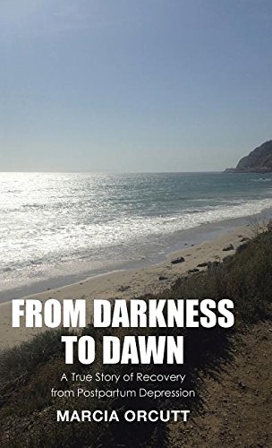 From Darkness To Dawn A True Story Of Recovery From Postpartum Depression [Hardcover]