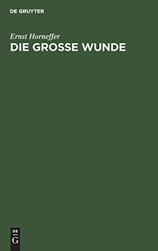 Die Gro&65533e Wunde [Hardcover]