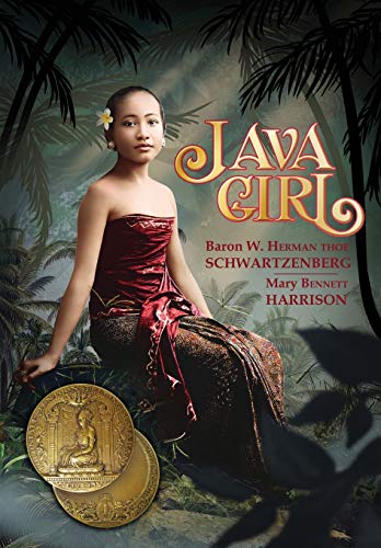 Java Girl [Paperback]