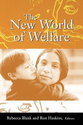 The New World of Welfare [Paperback]